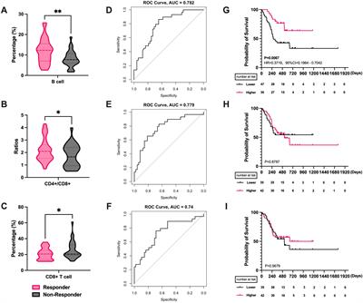 Heterogeneity in peripheral blood immune lymphocyte subsets predicts the response of immunotherapy or chemoradiotherapy in advanced lung cancer: an analysis across different pathological types, treatment modalities and age